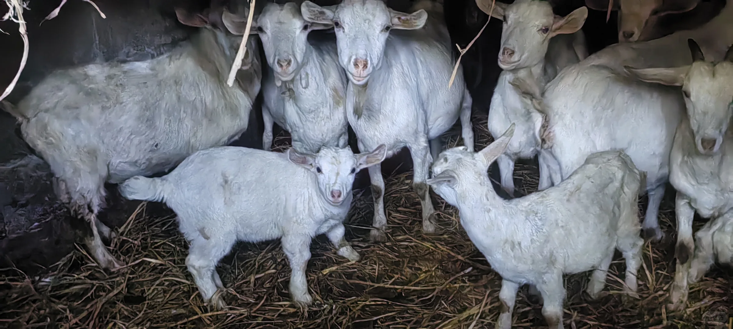 ̨�ݻ������򣬴�С����