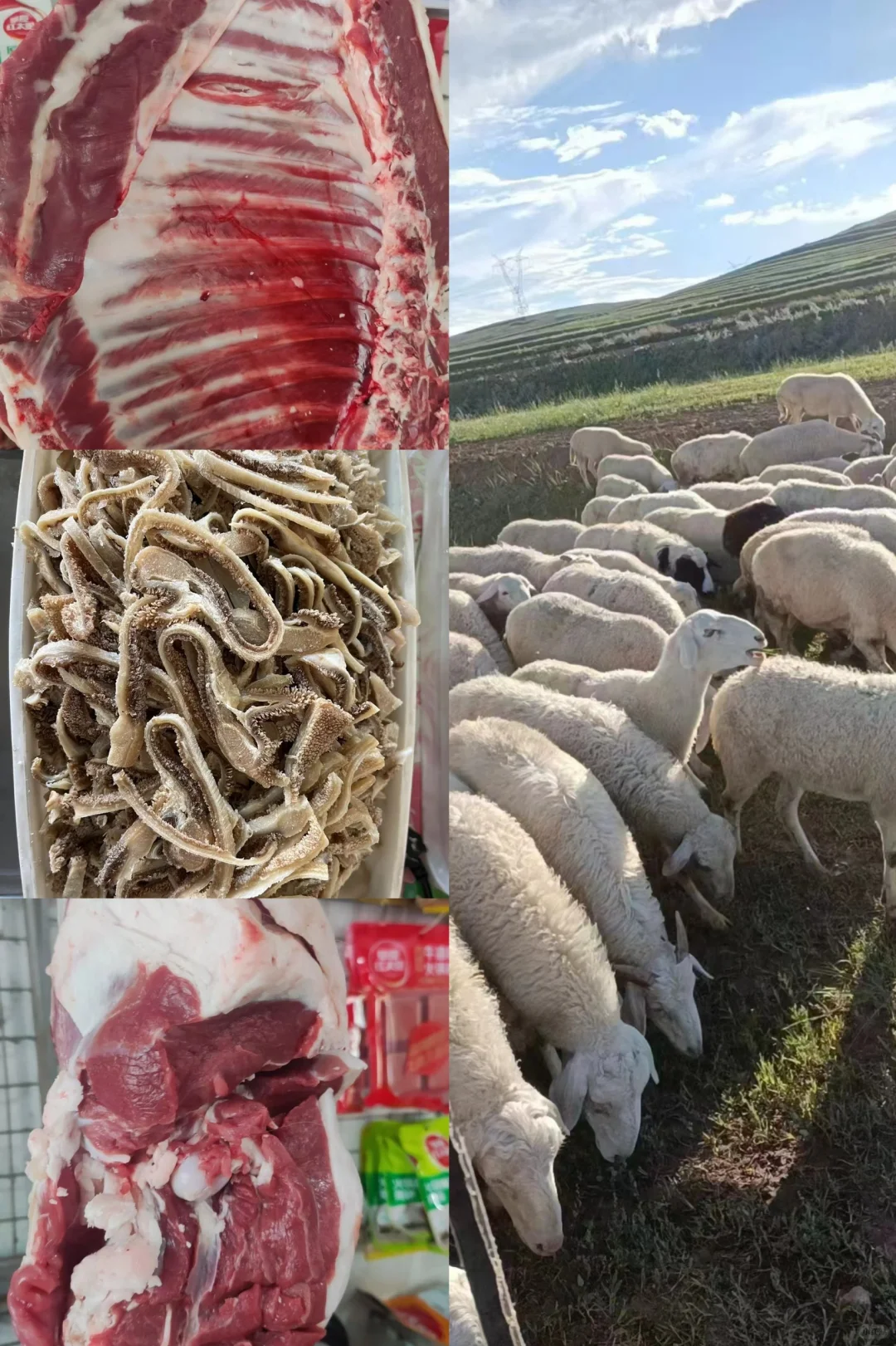 ÿһֻ��������װ׵ġ�