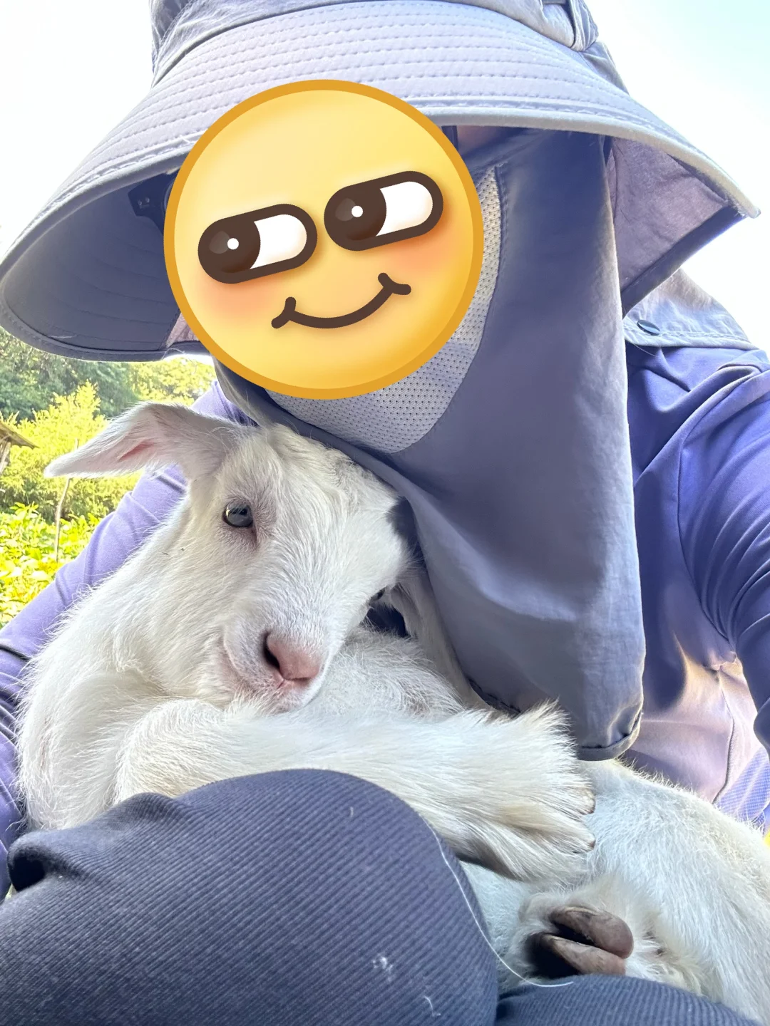 ���Ұ����� ����������