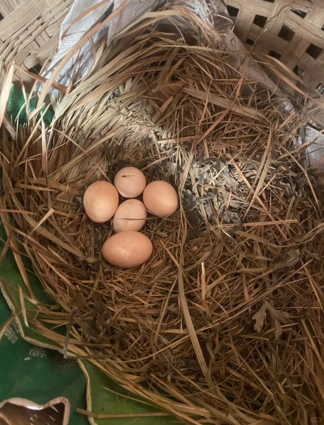 ������˼������������ 2 ��һ������򲻵�