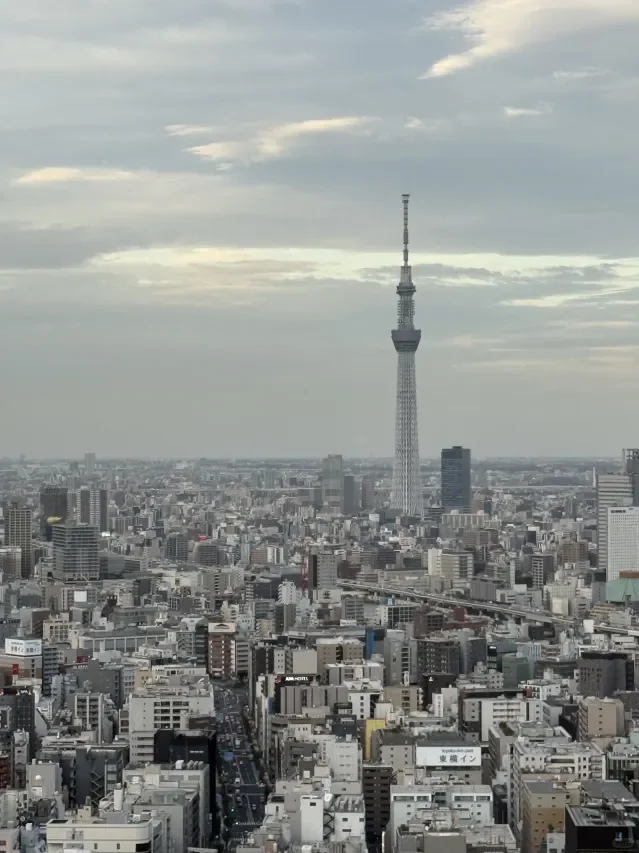 �����Ļ�������ȫ��۸�����+�����ܿ�