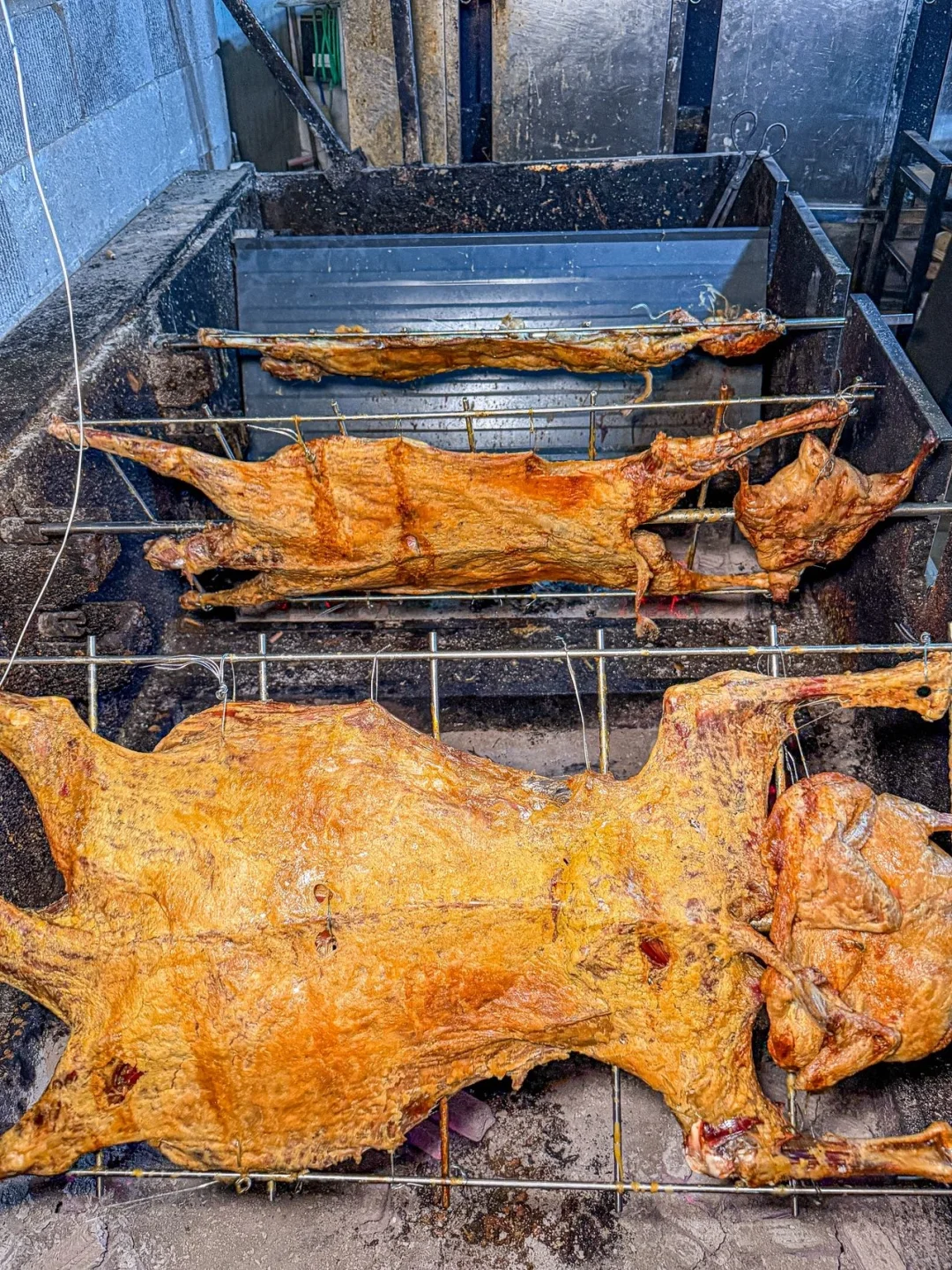 ��ҿ�ȫ����ġ�����������ѩɽ��Ҳ̫����