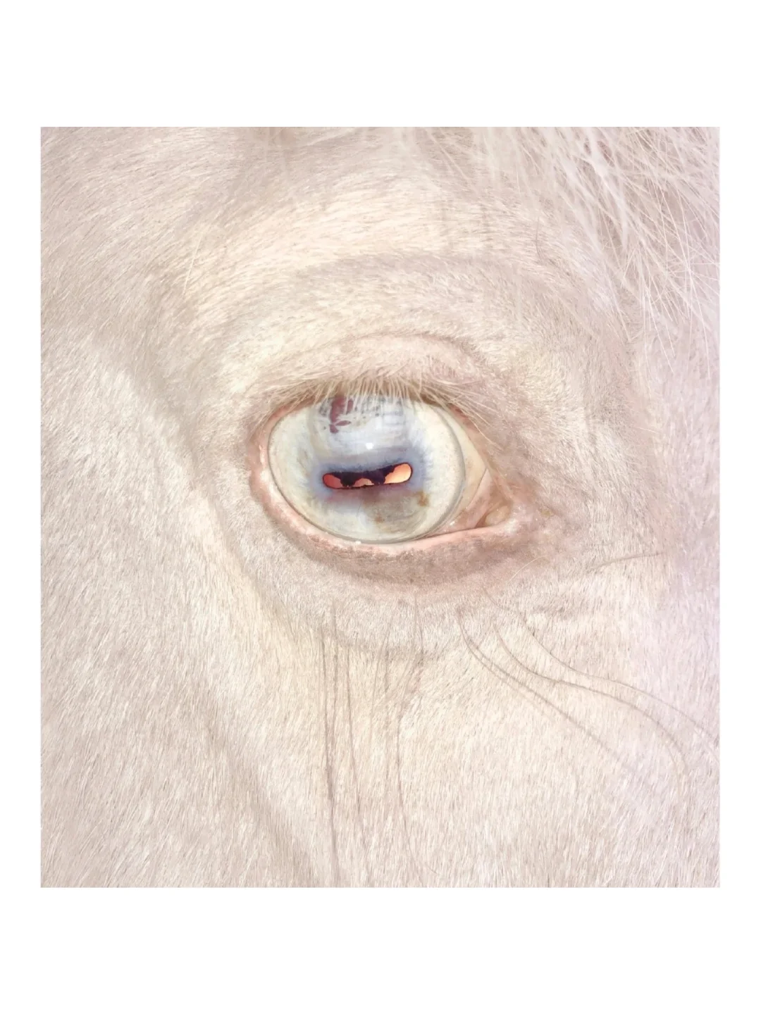 �����ǻ����ͭ����