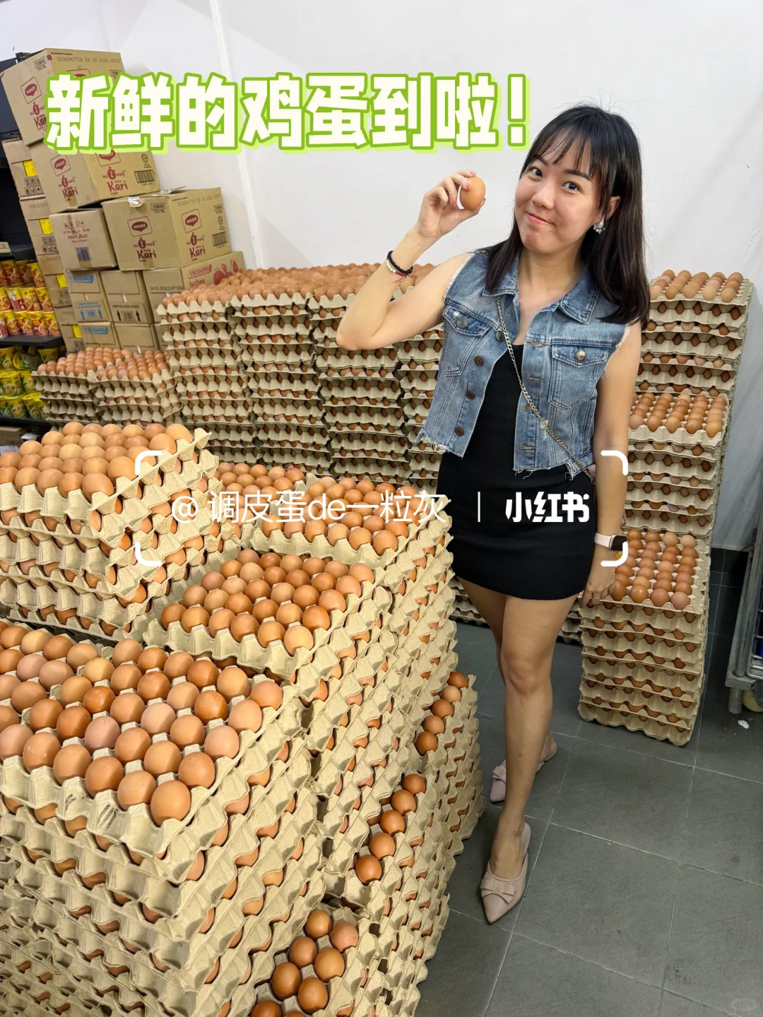 ??��Ŀ������������ļ���