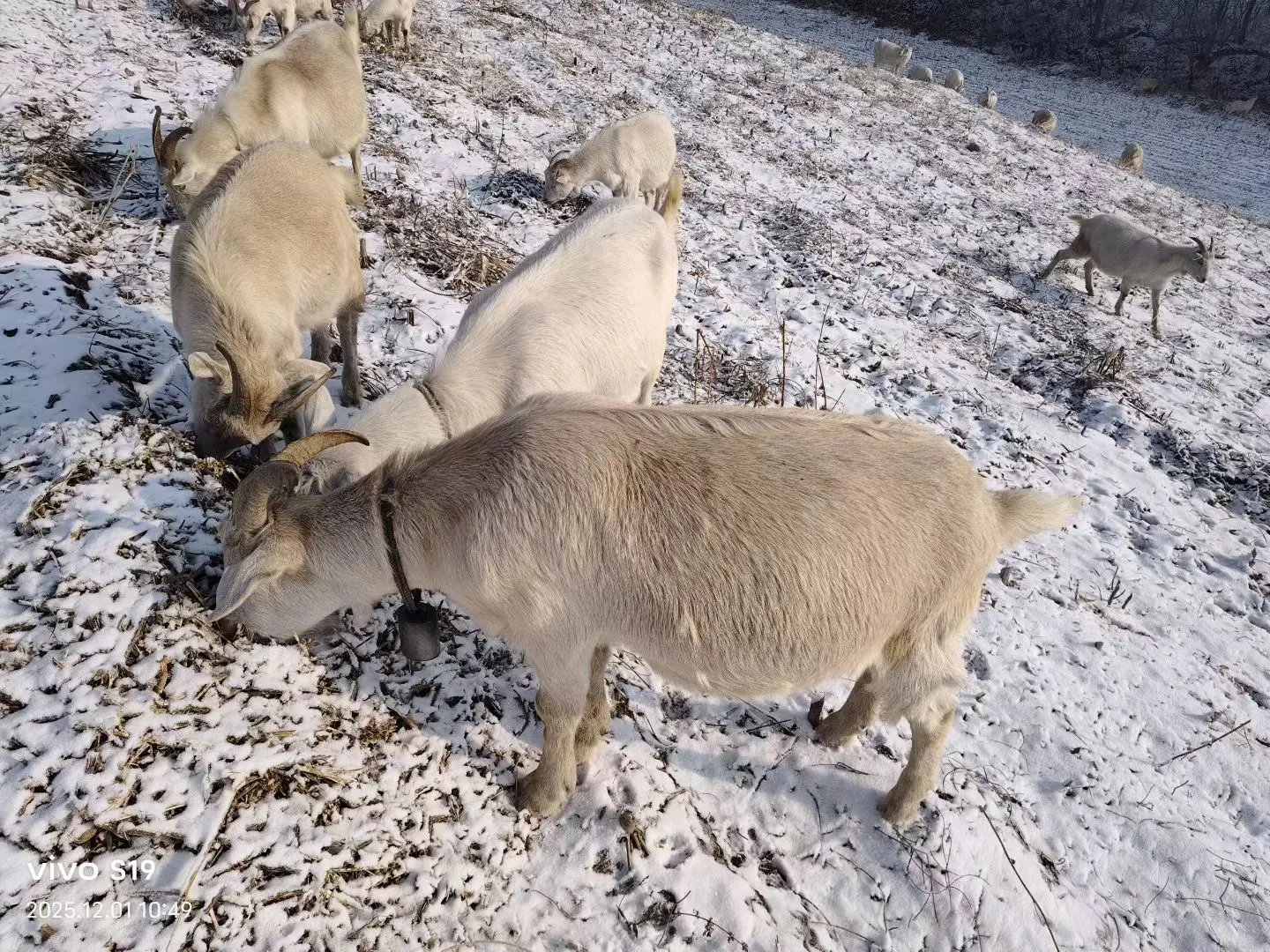 ���Ұ����� ����������