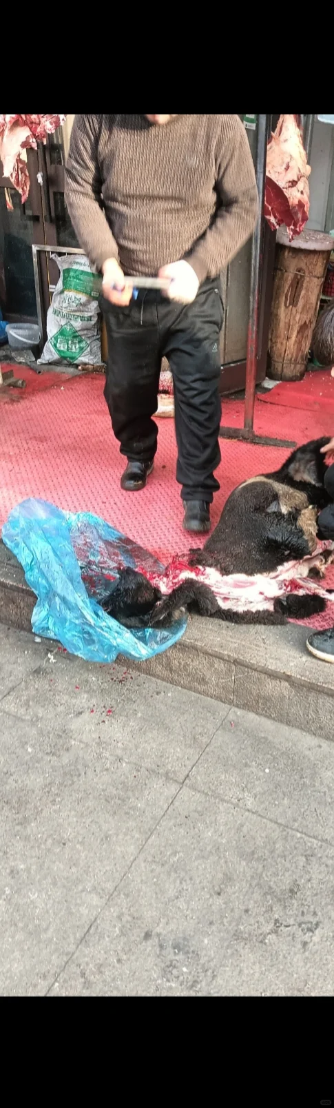 ����³ľ������������˰�ֻ��ɱ����