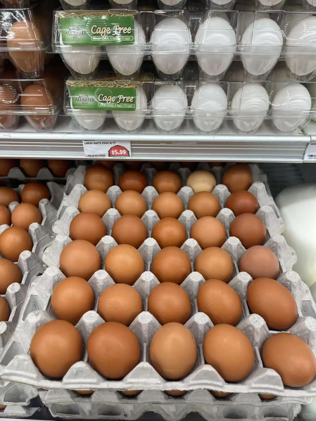 ׬�������𣬼���5����Ĺ���