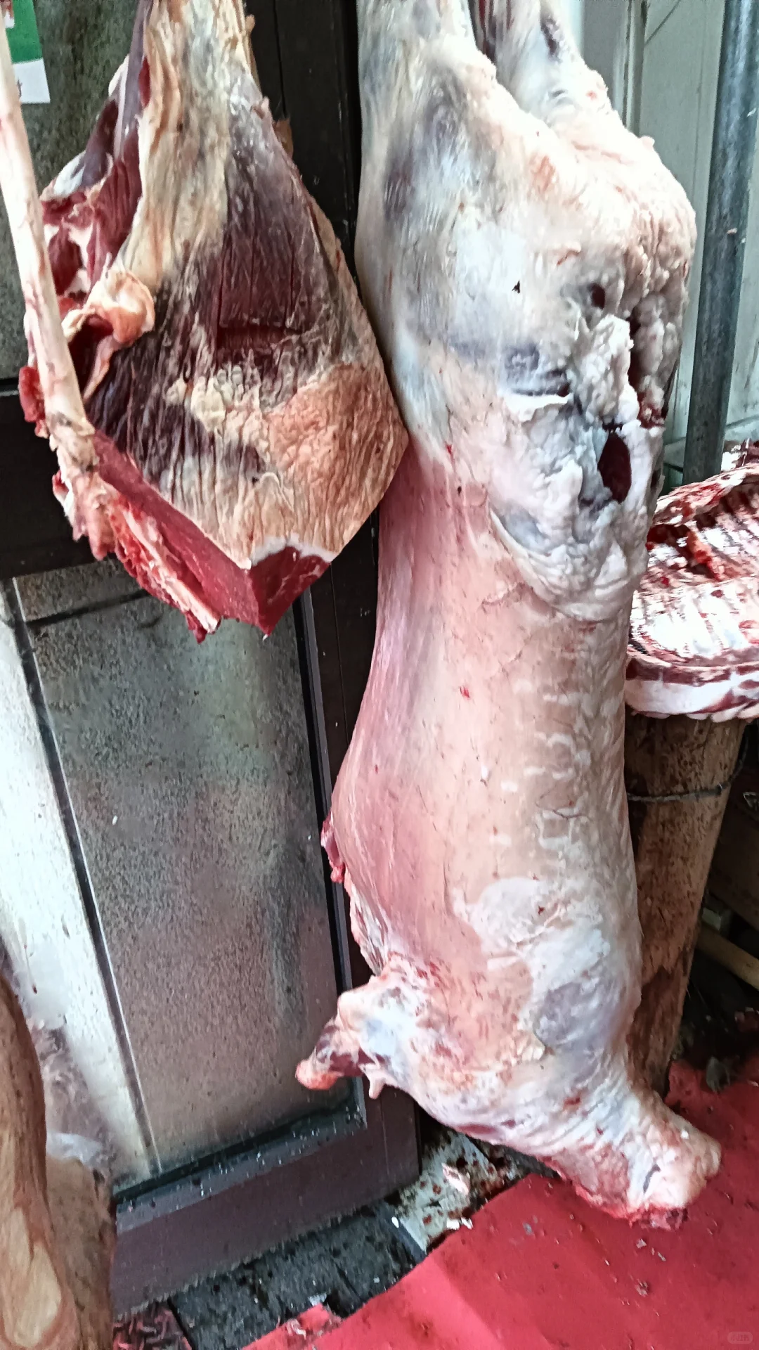 ����³ľ������������˰�ֻ��ɱ����