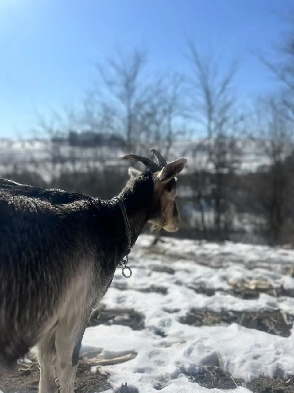 ���Ұ����� ����������