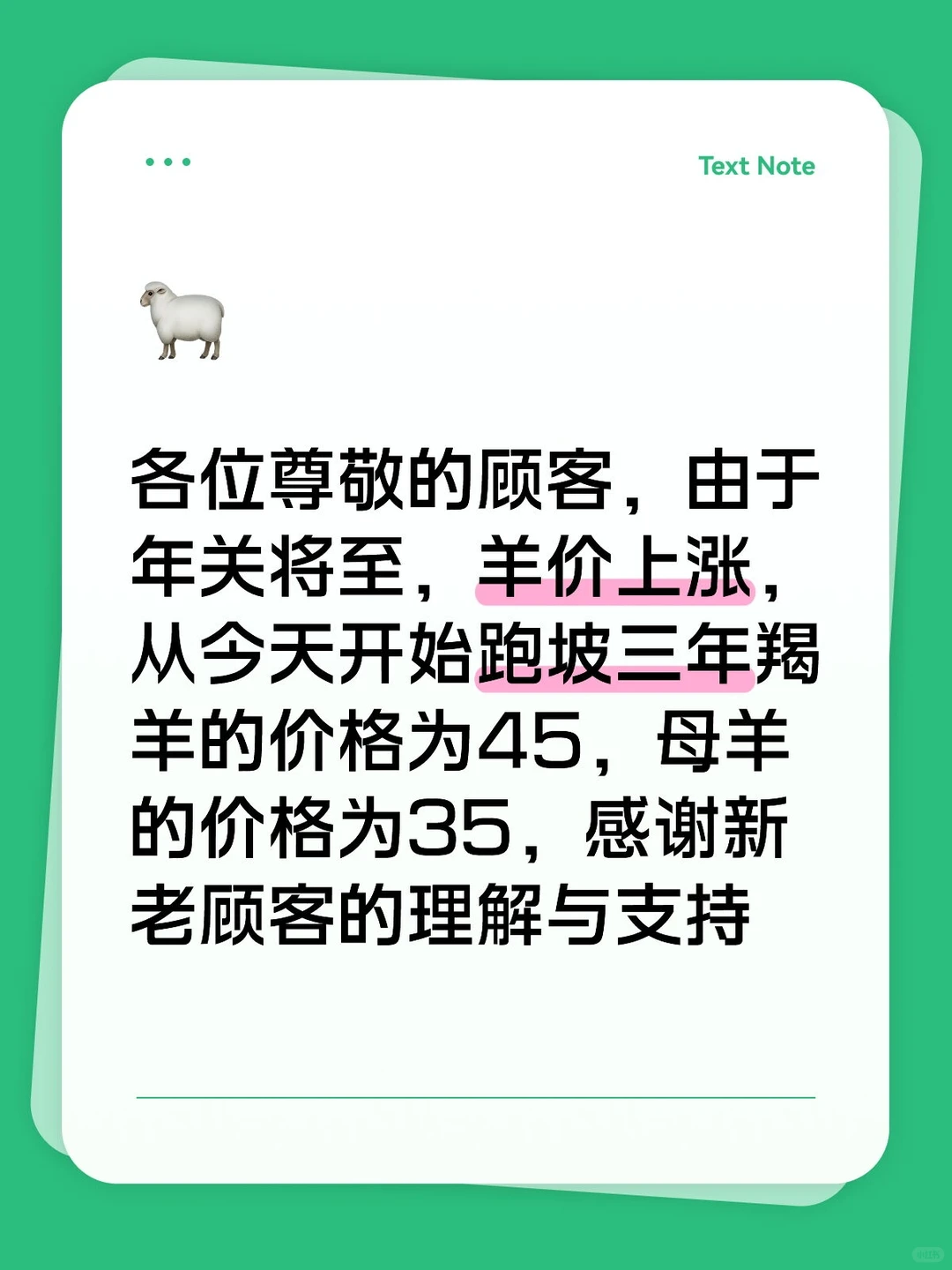 лл���֧��