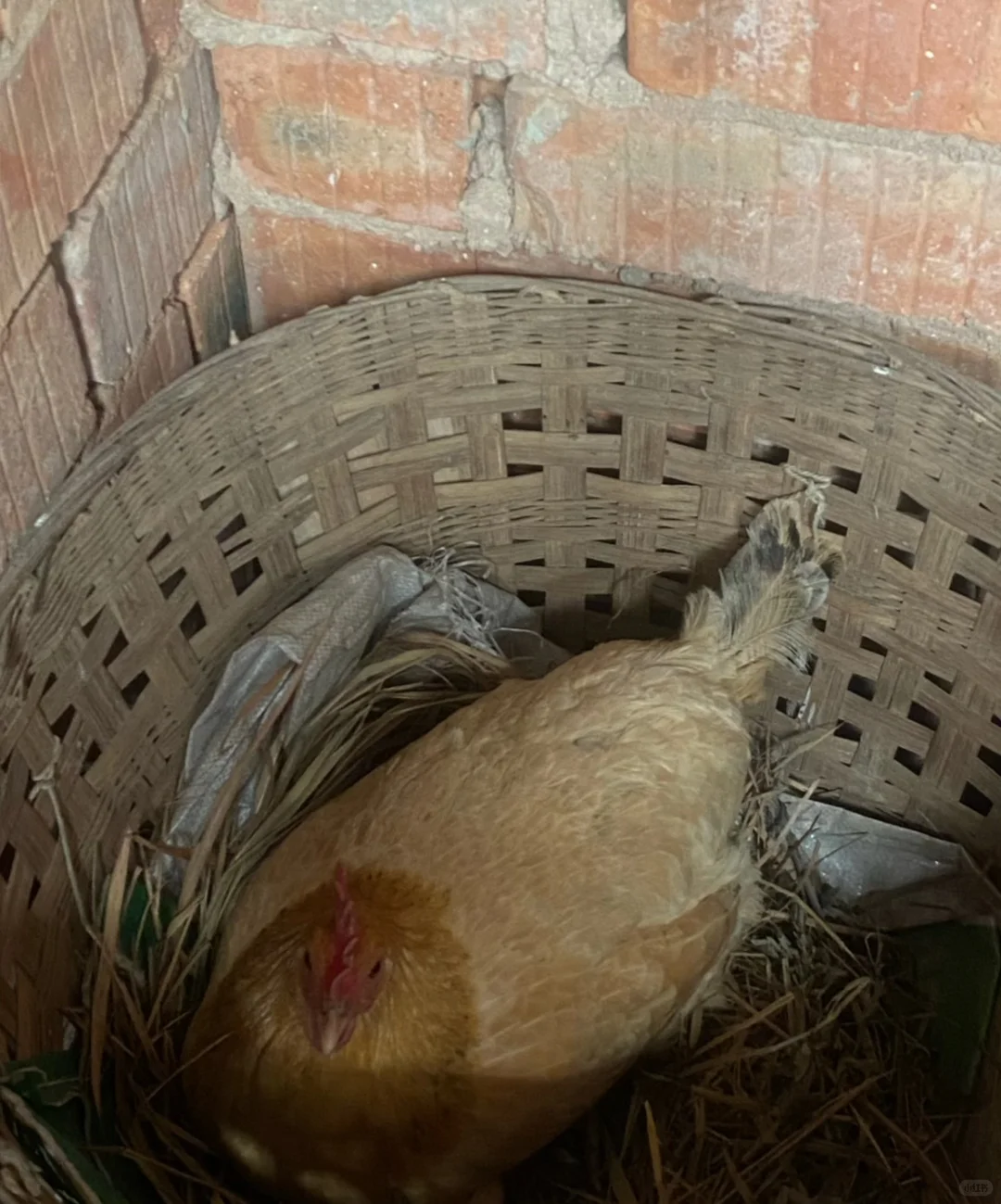 ������˼������������ 2 ��һ������򲻵�