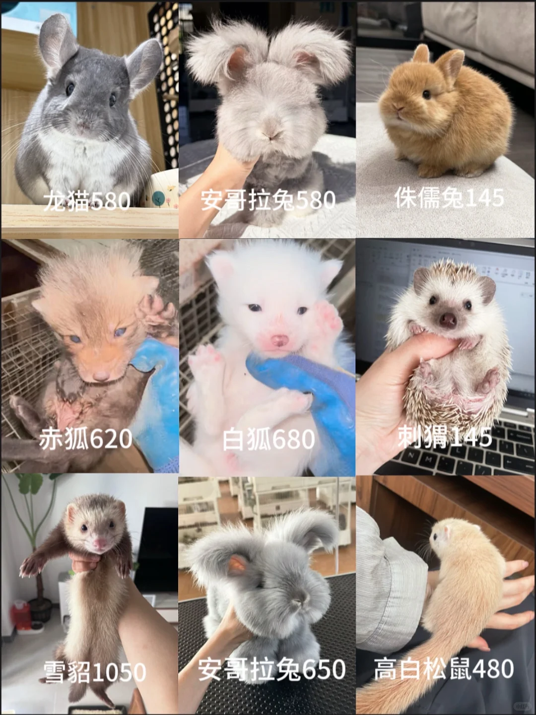 ����۸��ϼ�����