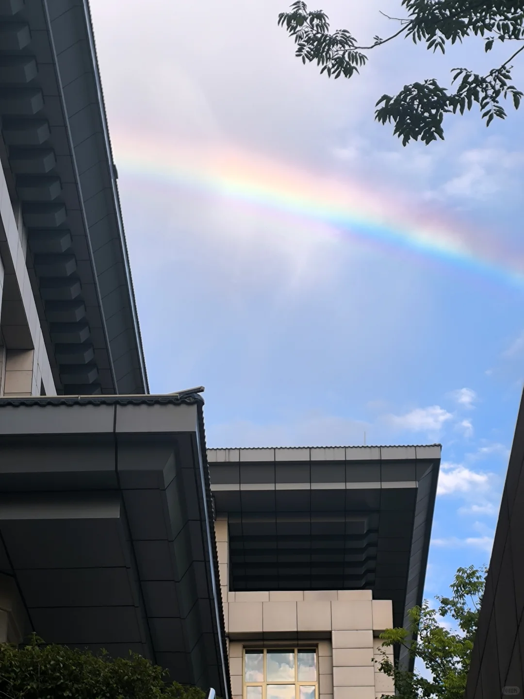 ?2026���³��塤��ɽ���������