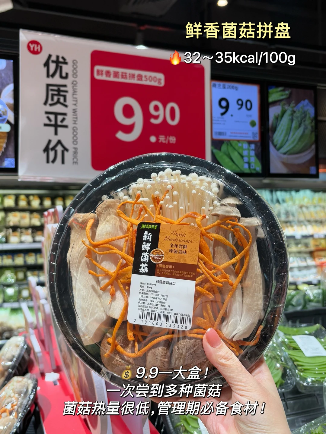 �����ԵͿ���������嵥?���۸�&����