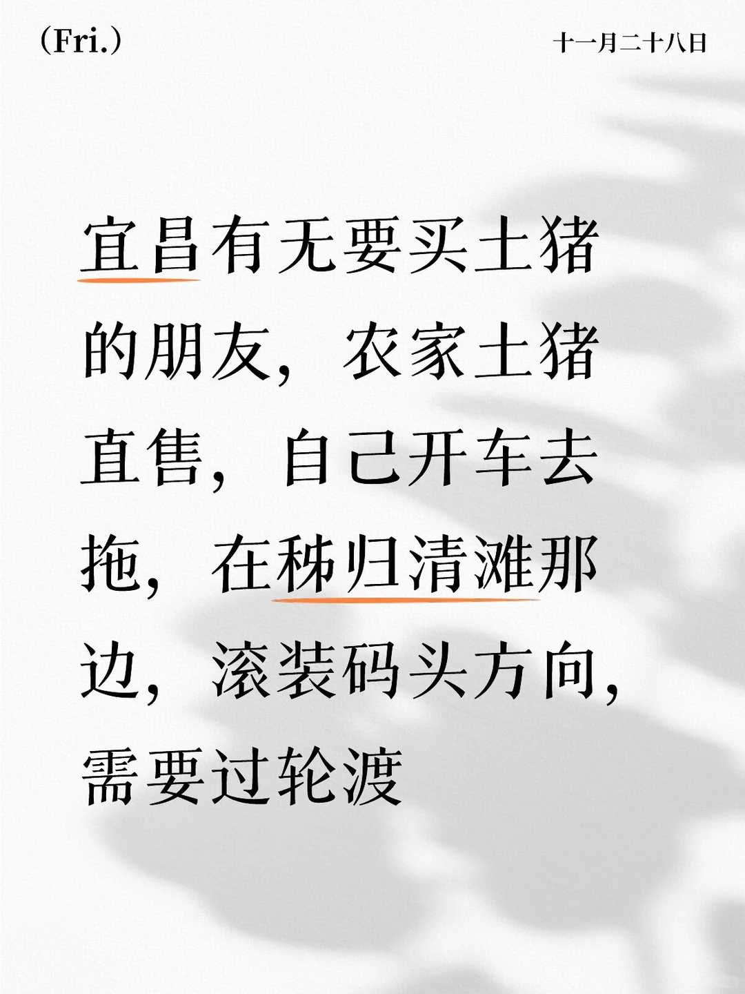 ����������