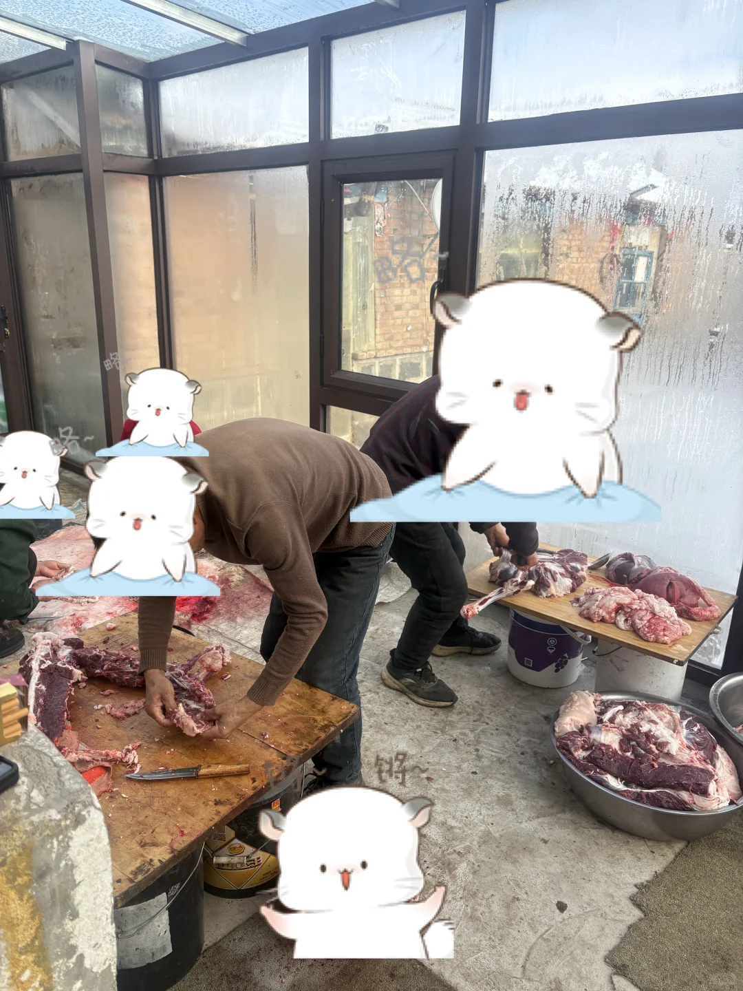 ����13һ������Լ��������򣬷��������