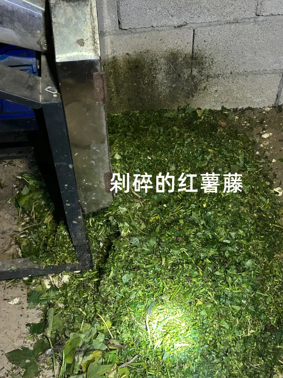 ���º�����������+Ԥ��