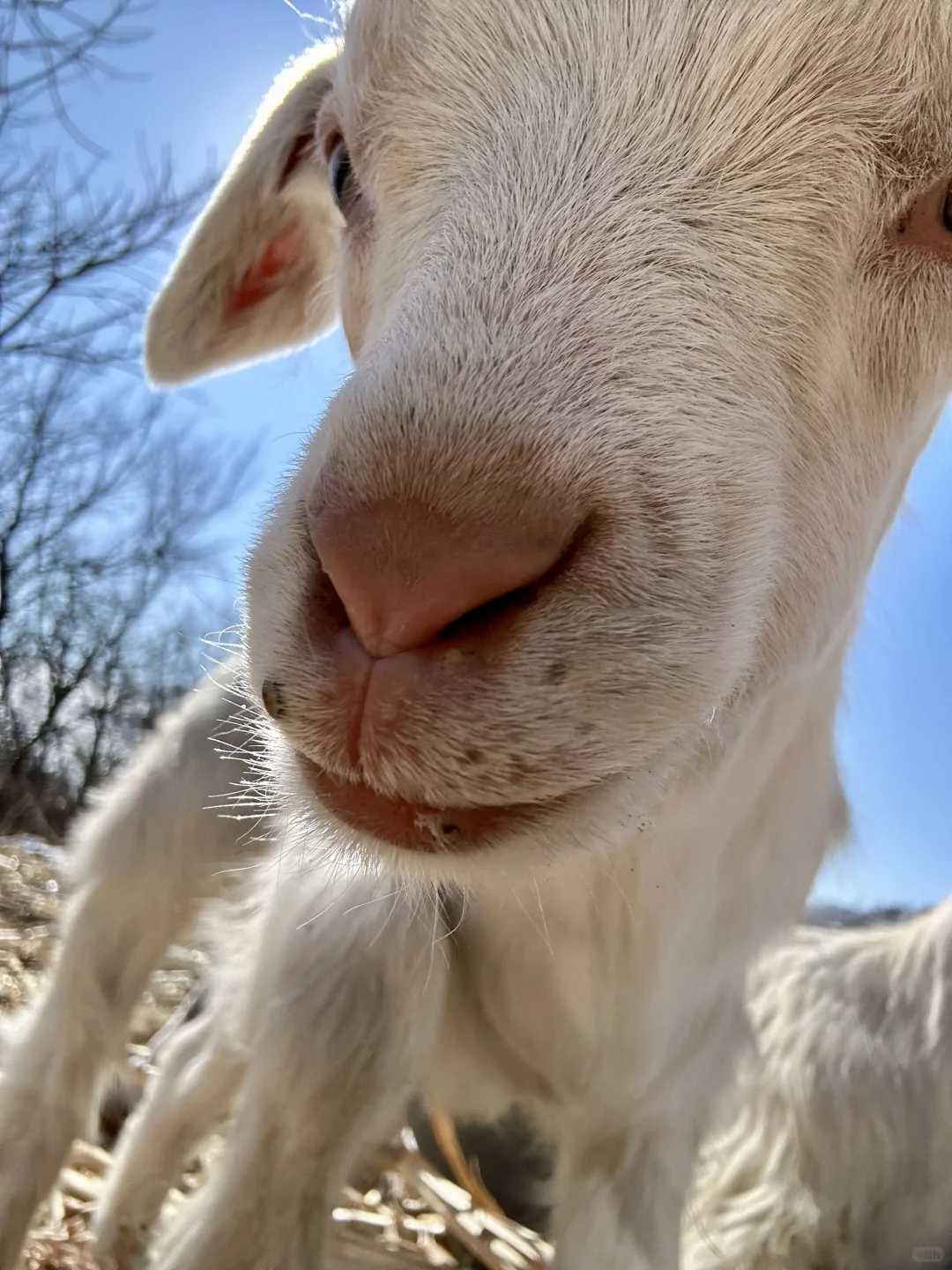 ���Ұ����� ����������