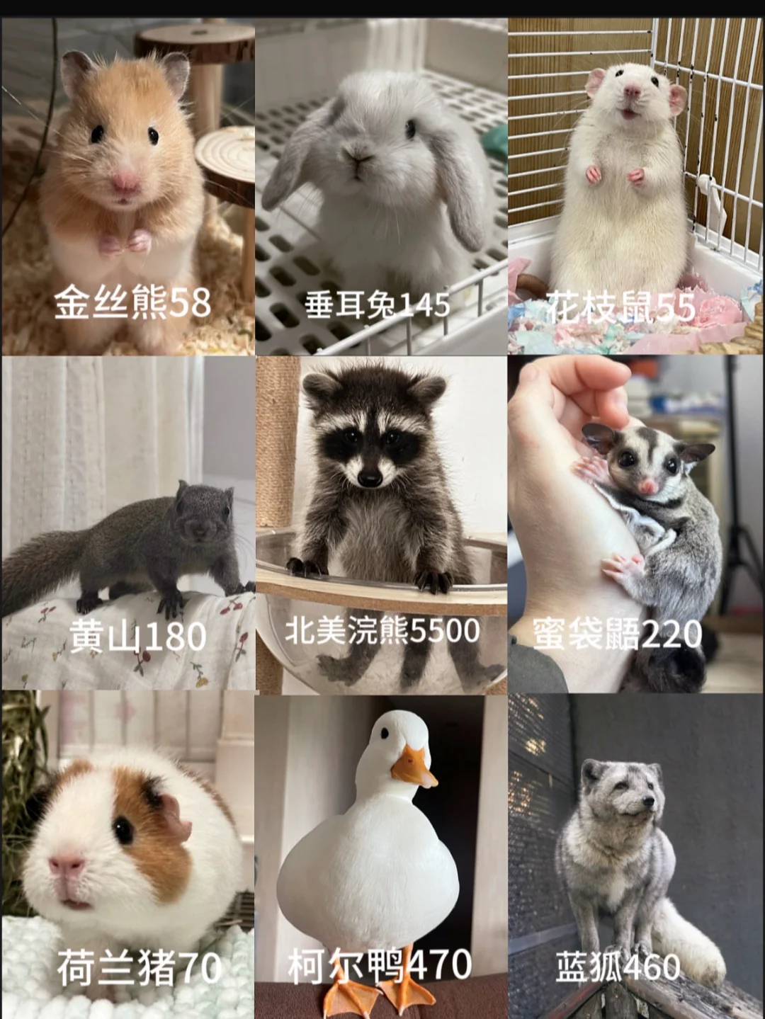 ����۸��ϼ�����