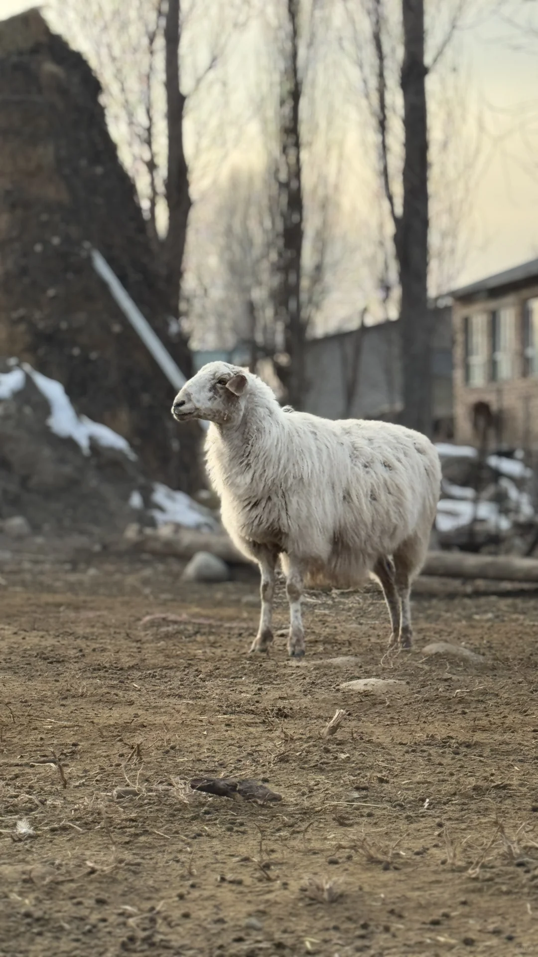 �����½���С������С���