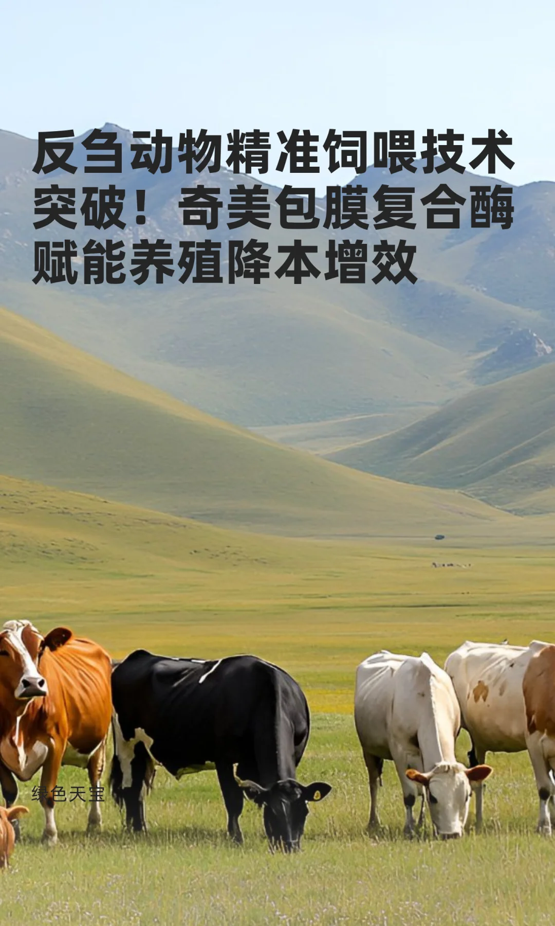 ��ۻ���ﾫ׼��ι����ͻ�ƣ�������Ĥ����ø