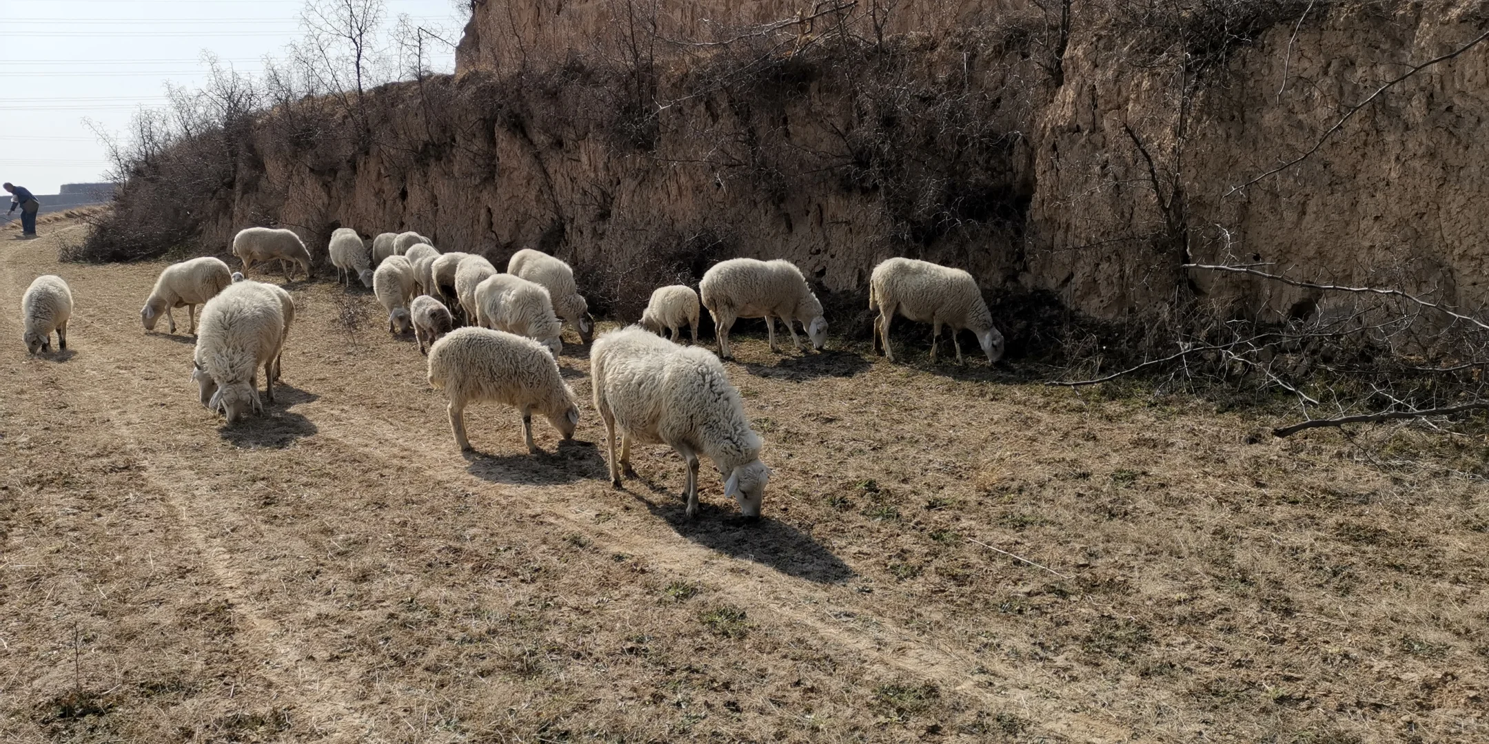 �����ڼ�����ɽ���������ڸ��