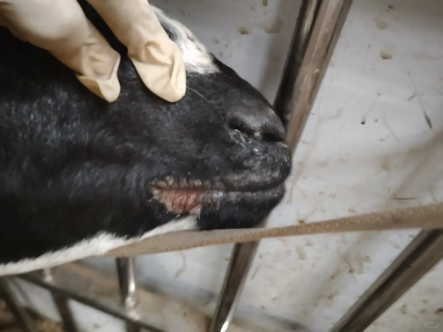 ����������ϳ�������ô��