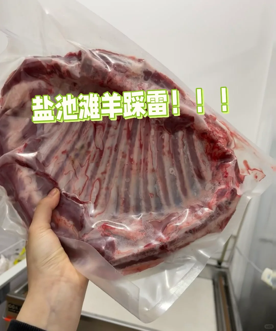 �����γ�̲�����