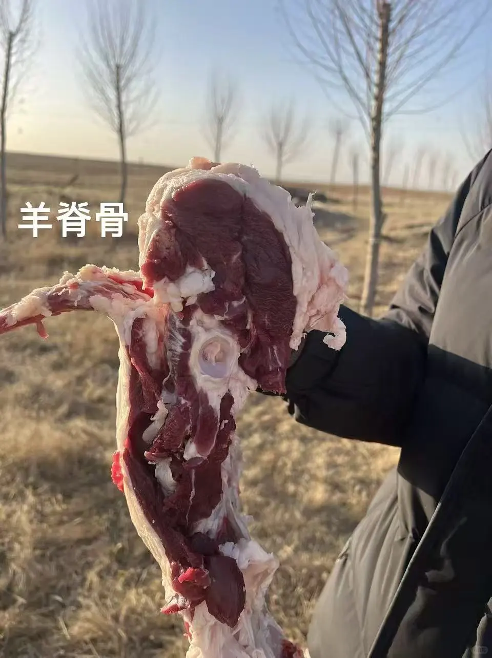 ����ܶ౦�������ҼҲ�ԭ�����