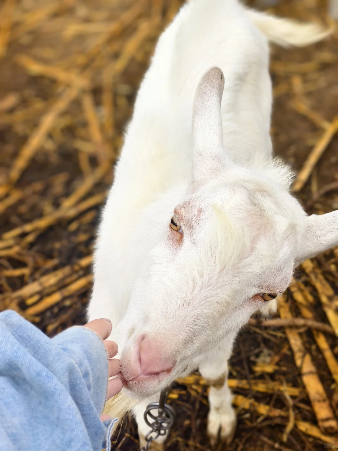 ��������С�򳤴���~