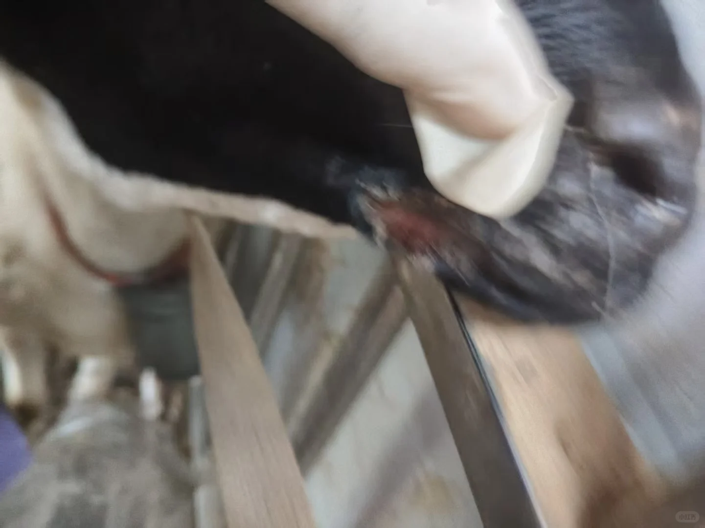 ����������ϳ�������ô��