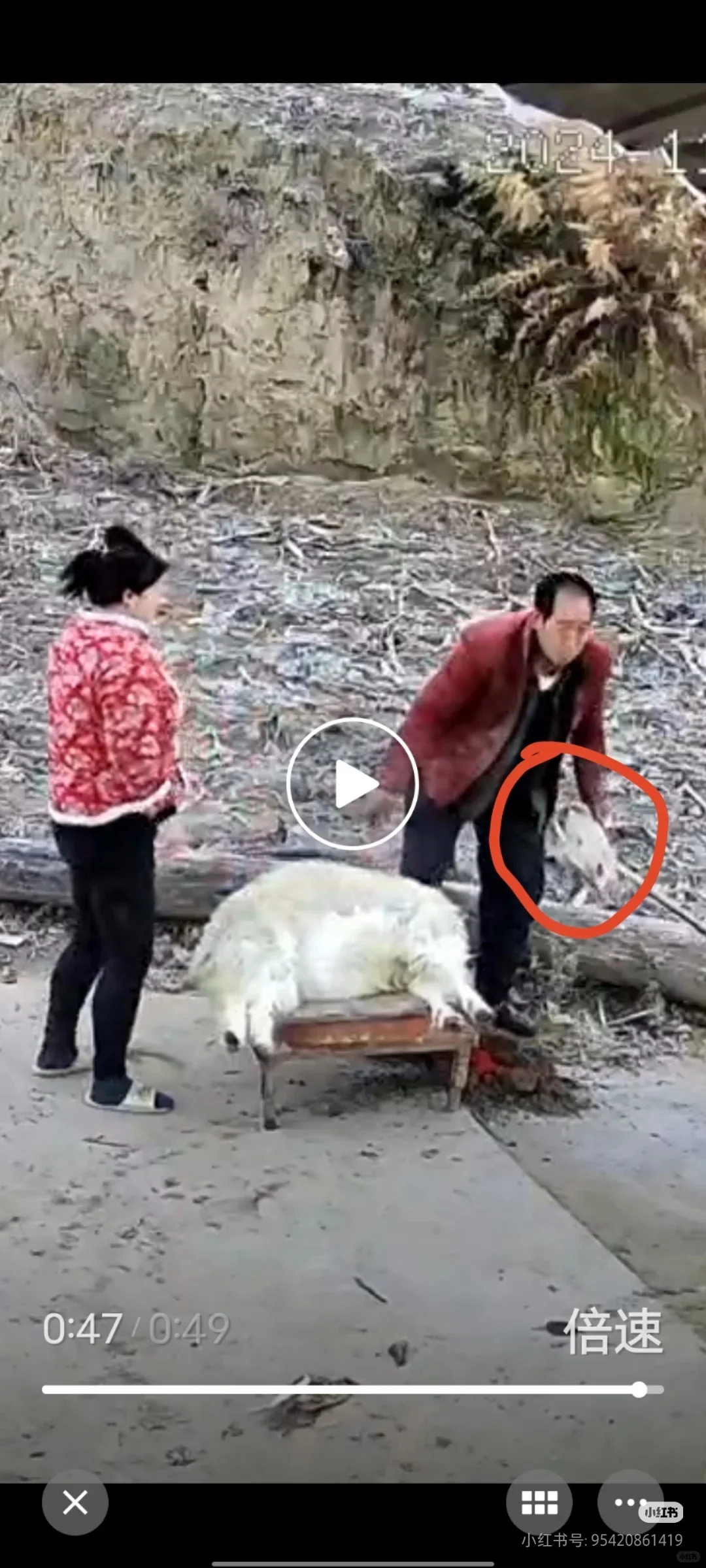 �����±���ɽ��Ե÷���