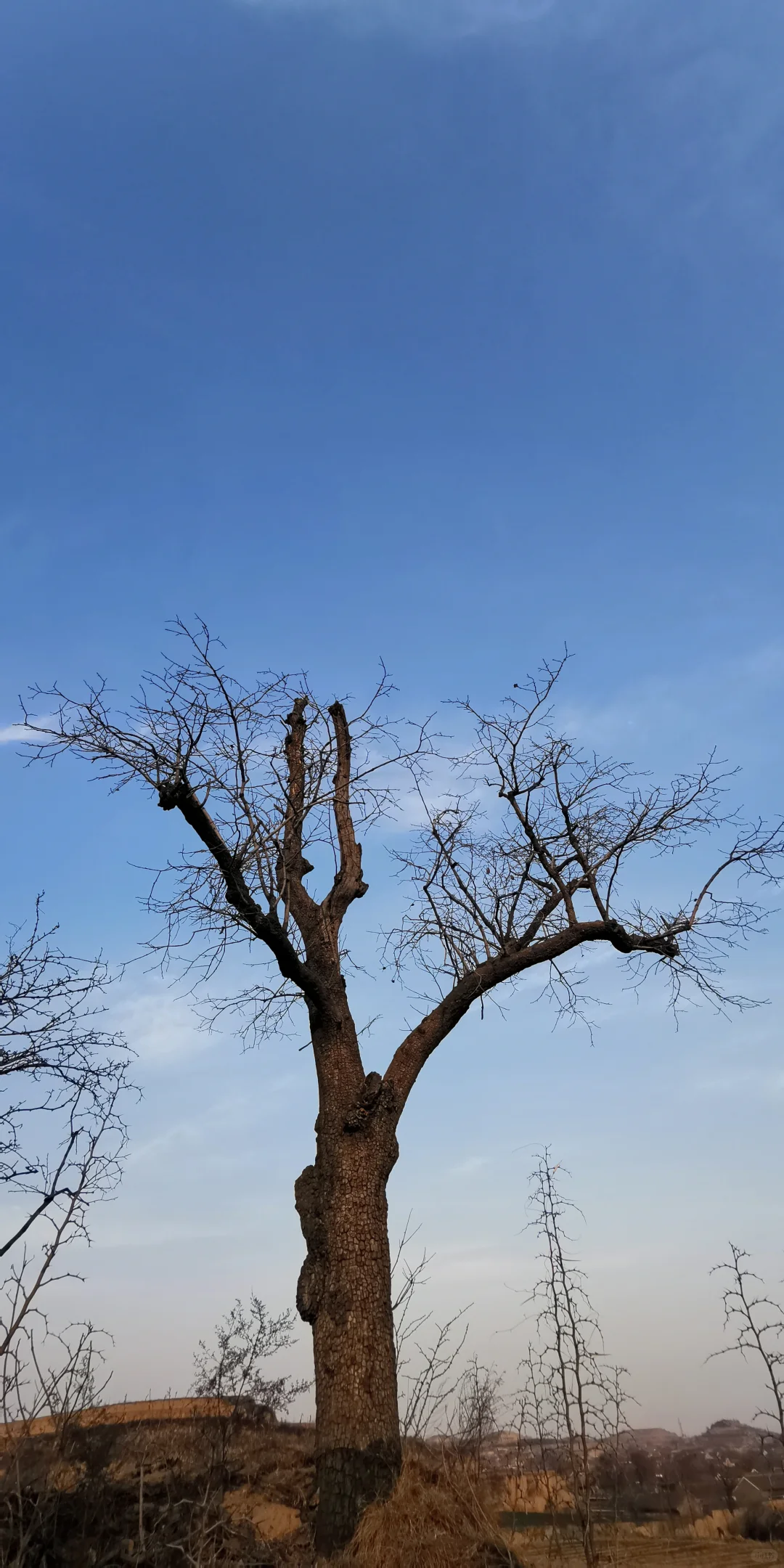 �����ڼ�����ɽ���������ڸ��