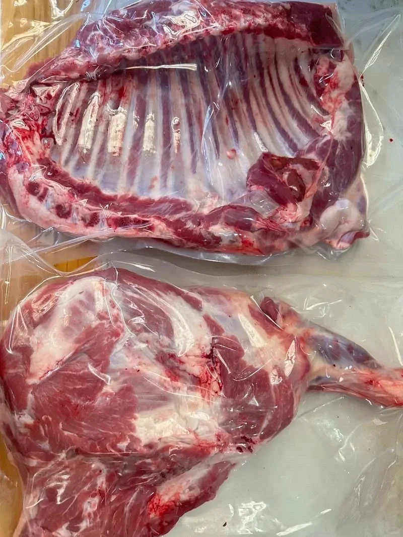 ������� ���껹���˳�������