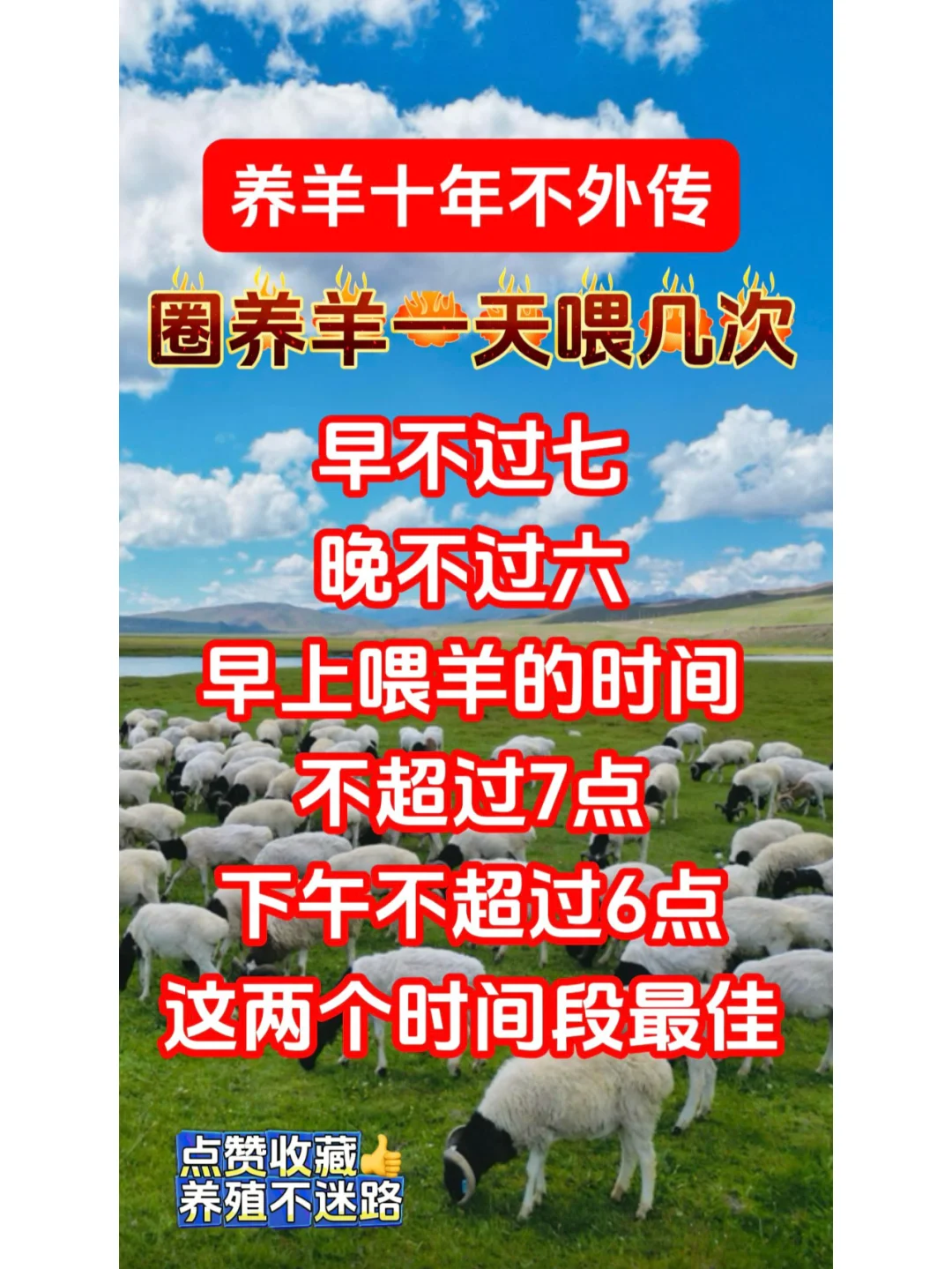 Ȧ����һ��ι�������