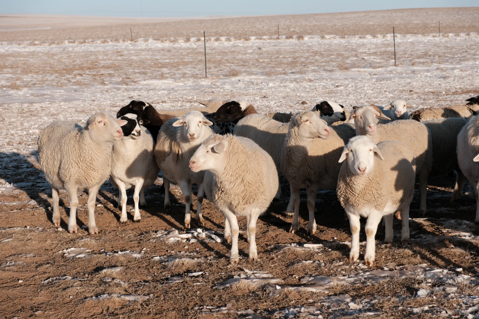 ��������/ ���ߵ�������