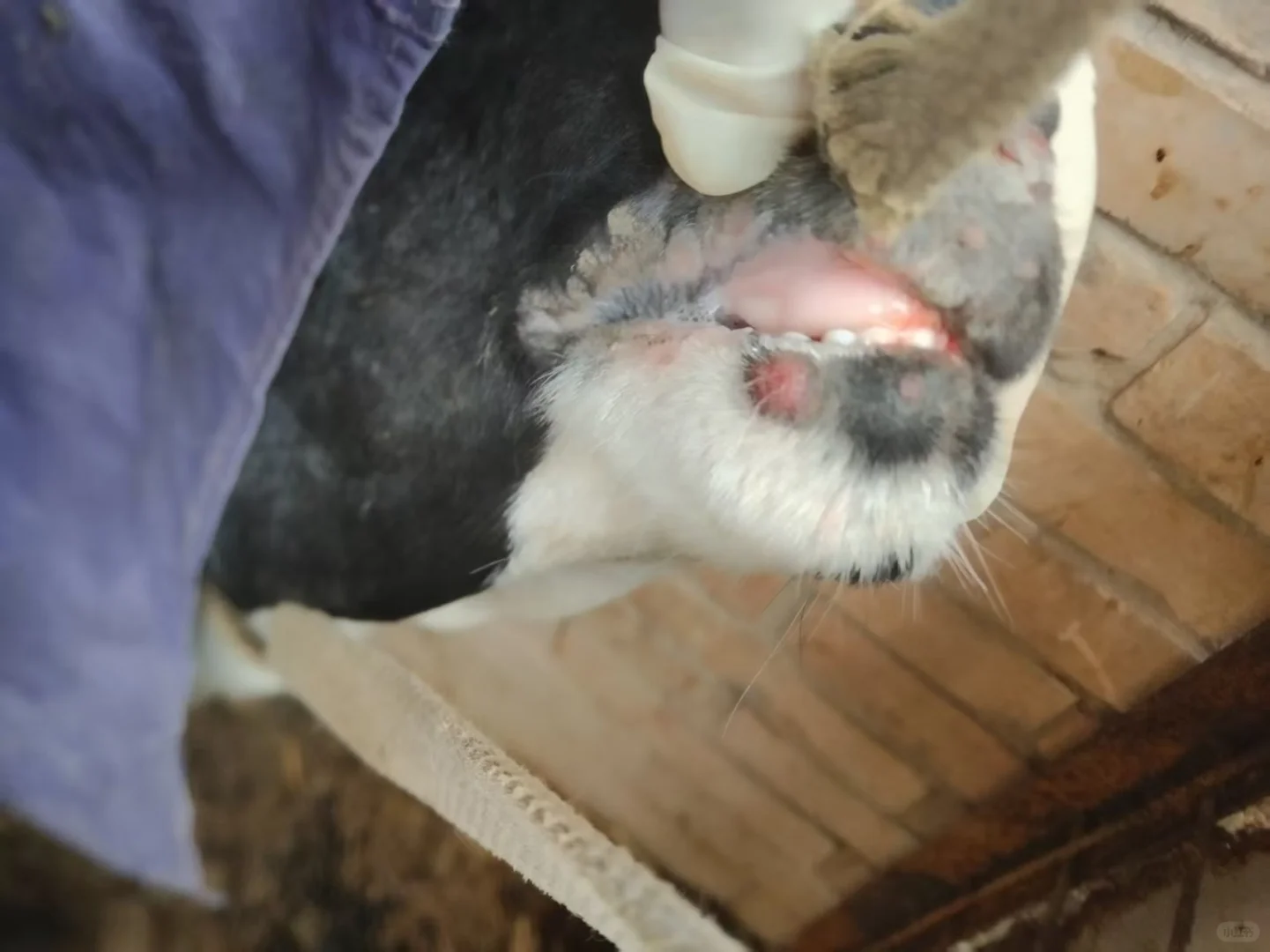 ����������ϳ�������ô��