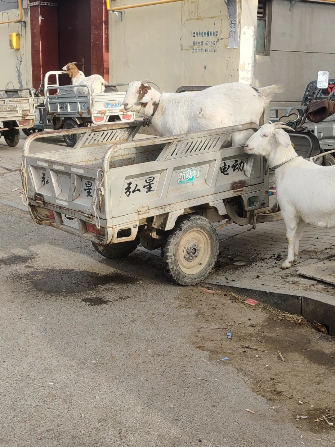 ������Ϣ�ǲ��Ǻ�Ũ