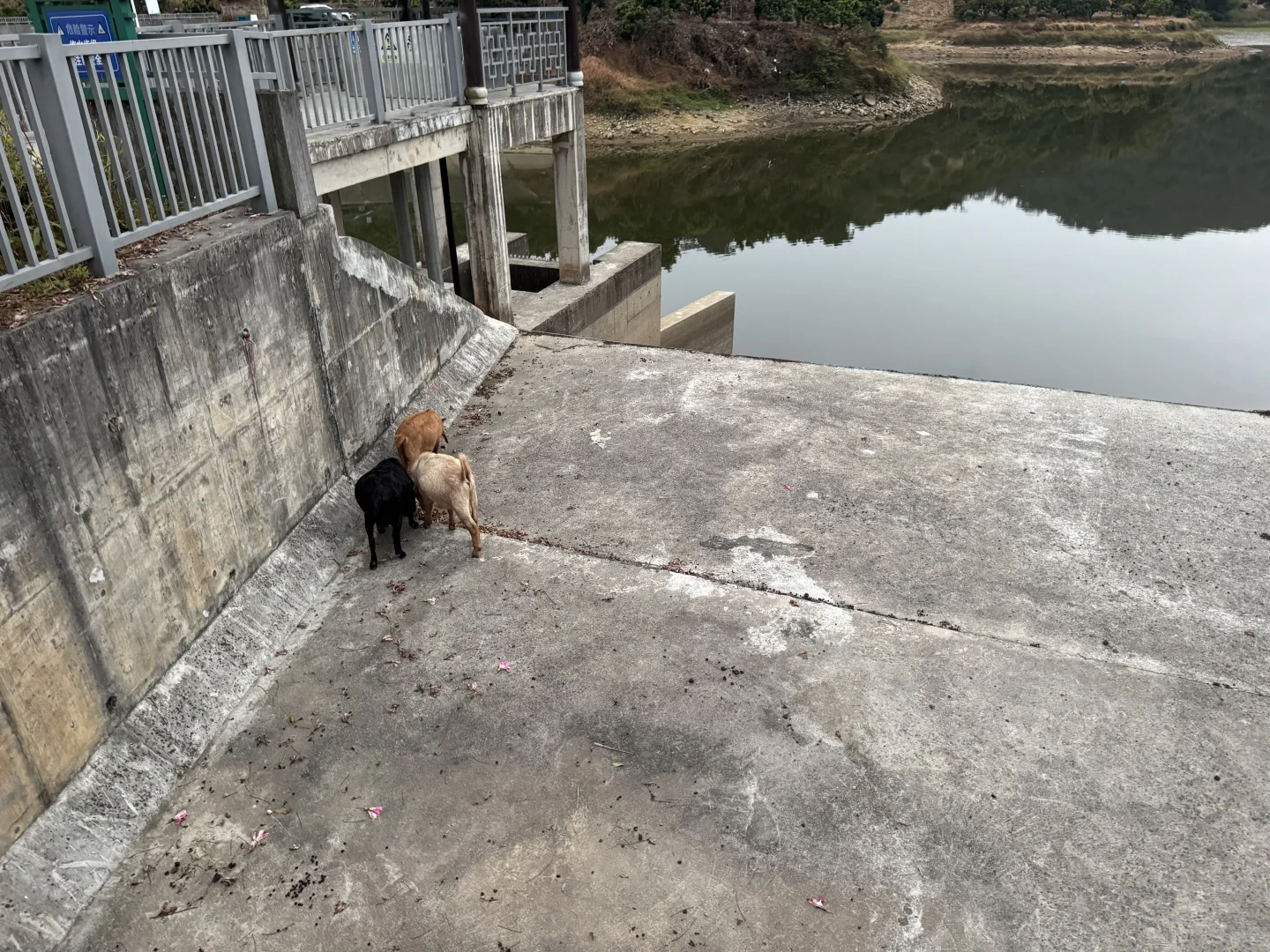 ������?��Ȼֲ�����