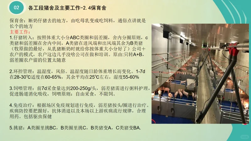 ����С�ױ����2�����������ἰ��Ҫ����