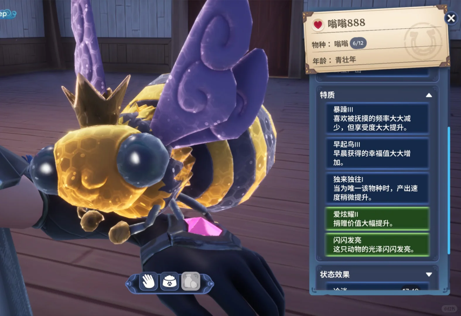 �����������ֻ