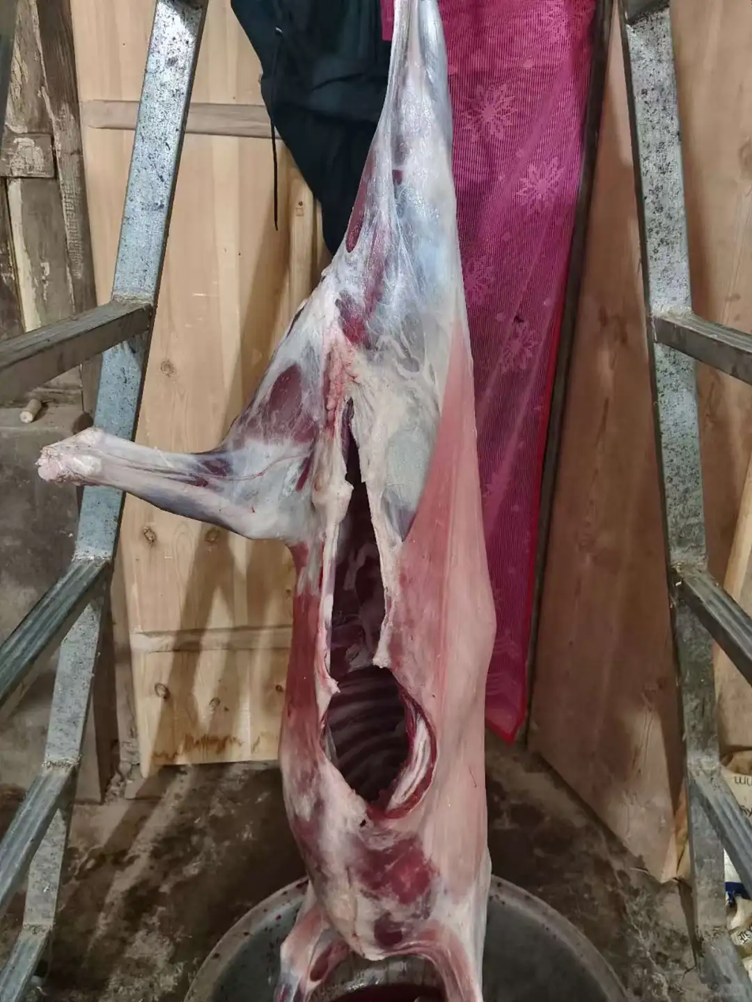 �����±���ɽ��Ե÷���