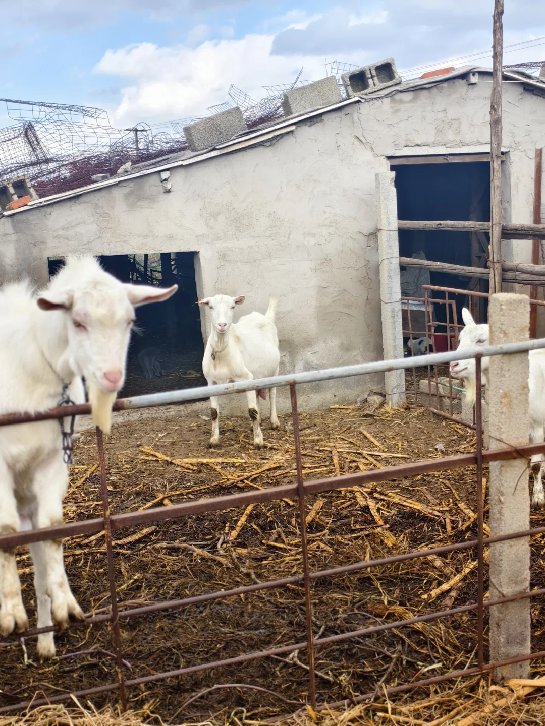 ��������С�򳤴���~