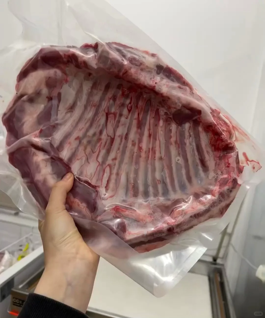 �����γ�̲�����