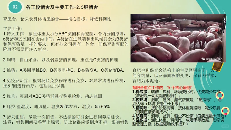 ����С�ױ����2�����������ἰ��Ҫ����