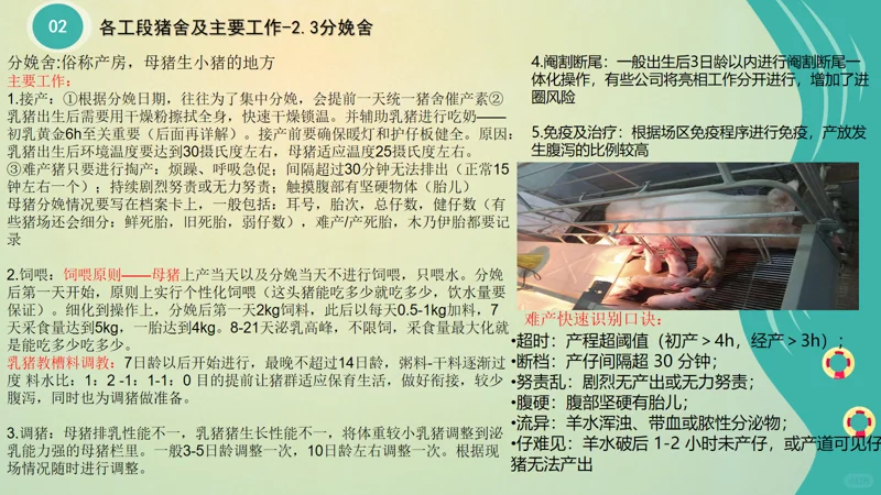 ����С�ױ����2�����������ἰ��Ҫ����