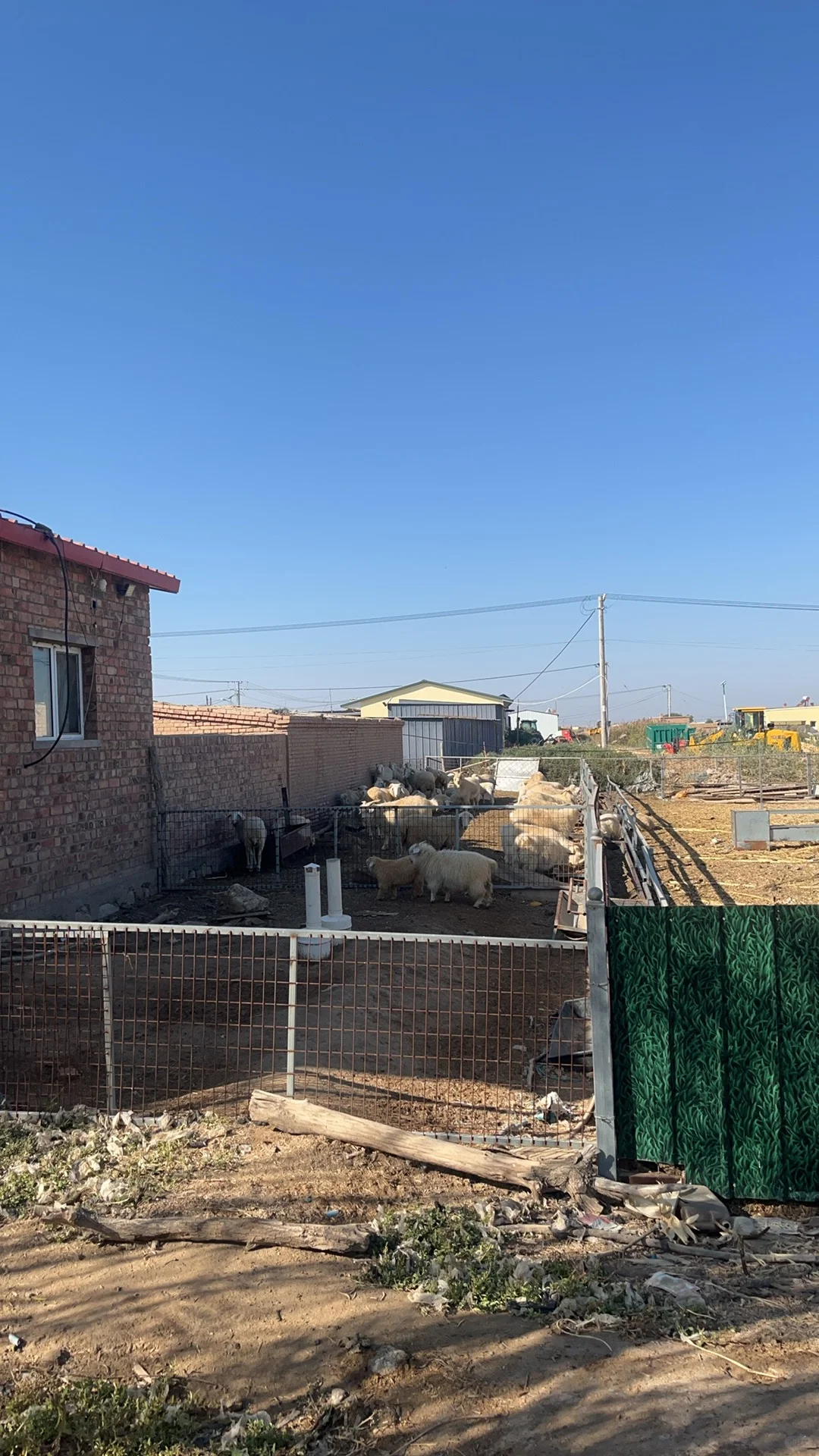 ��¼һ���Լ�������һ�������������ﻰ