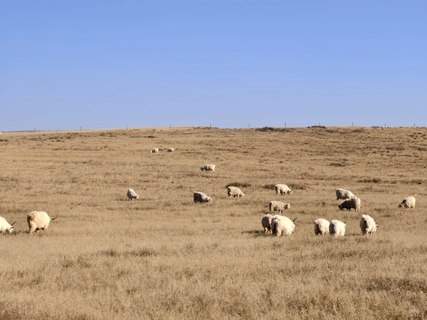 �����������������������˭���򰡣�