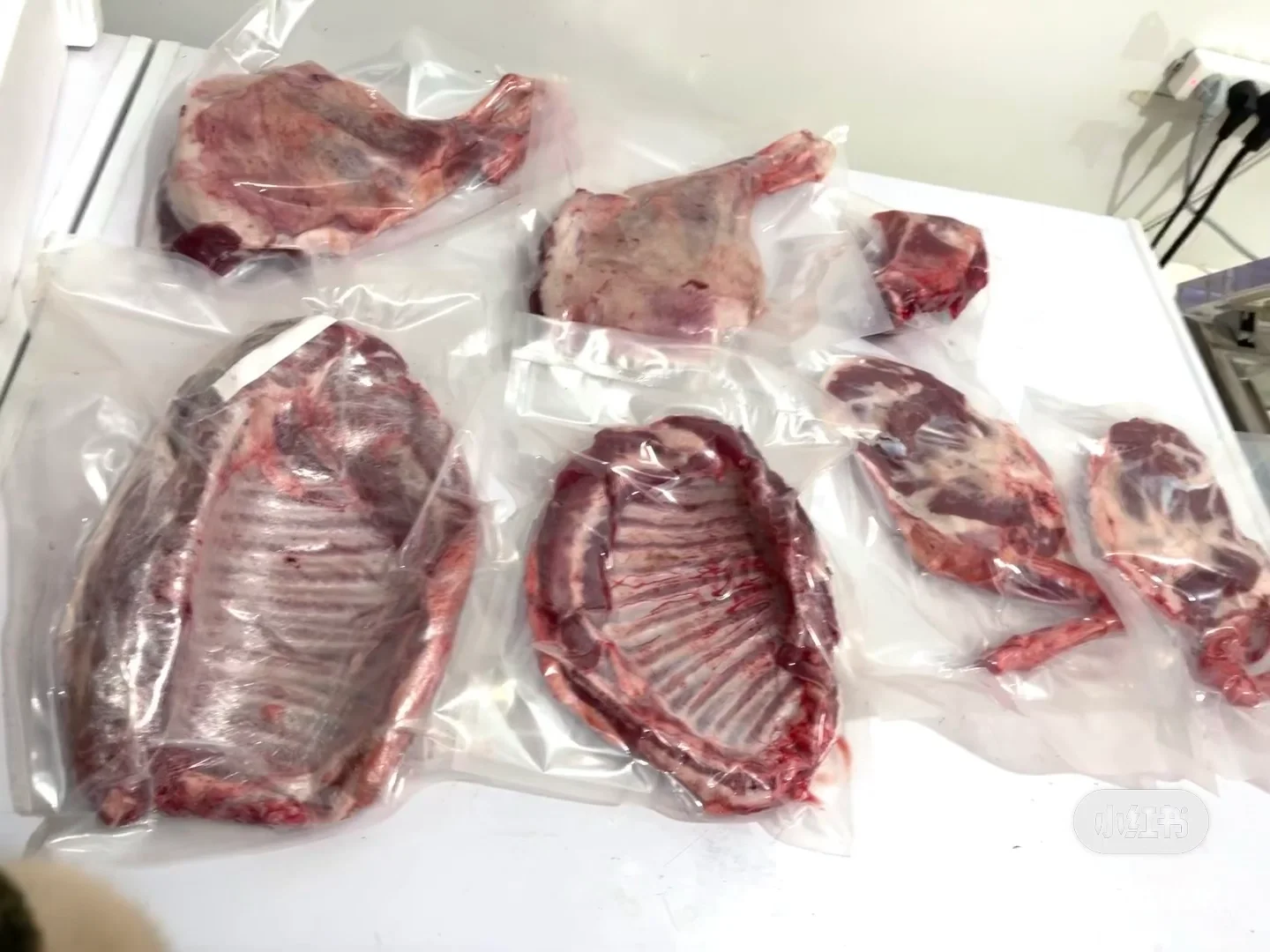 �����γ�̲�����