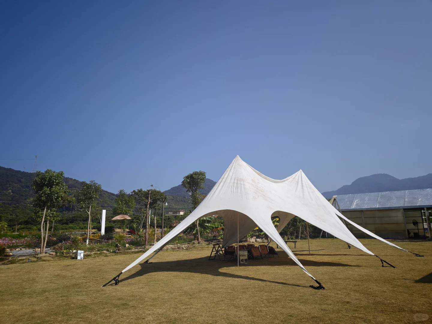 �ڹ㶫���ҵ��˺��õó��ֵ�����